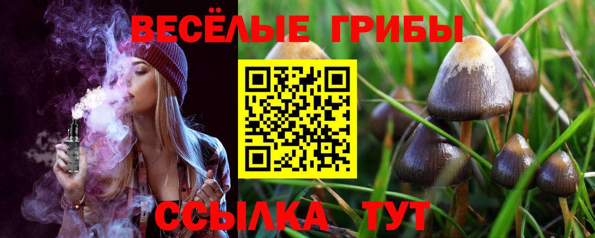 купить наркоту  Вход с VPN  Северобайкальск  Галлюциногенные грибы Magic Shrooms 